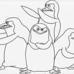 Pinguin Vorlage Zum Ausdrucken Angenehm Ausmalbilder Zum Ausdrucken Ausmalbilder Die Pinguine Aus