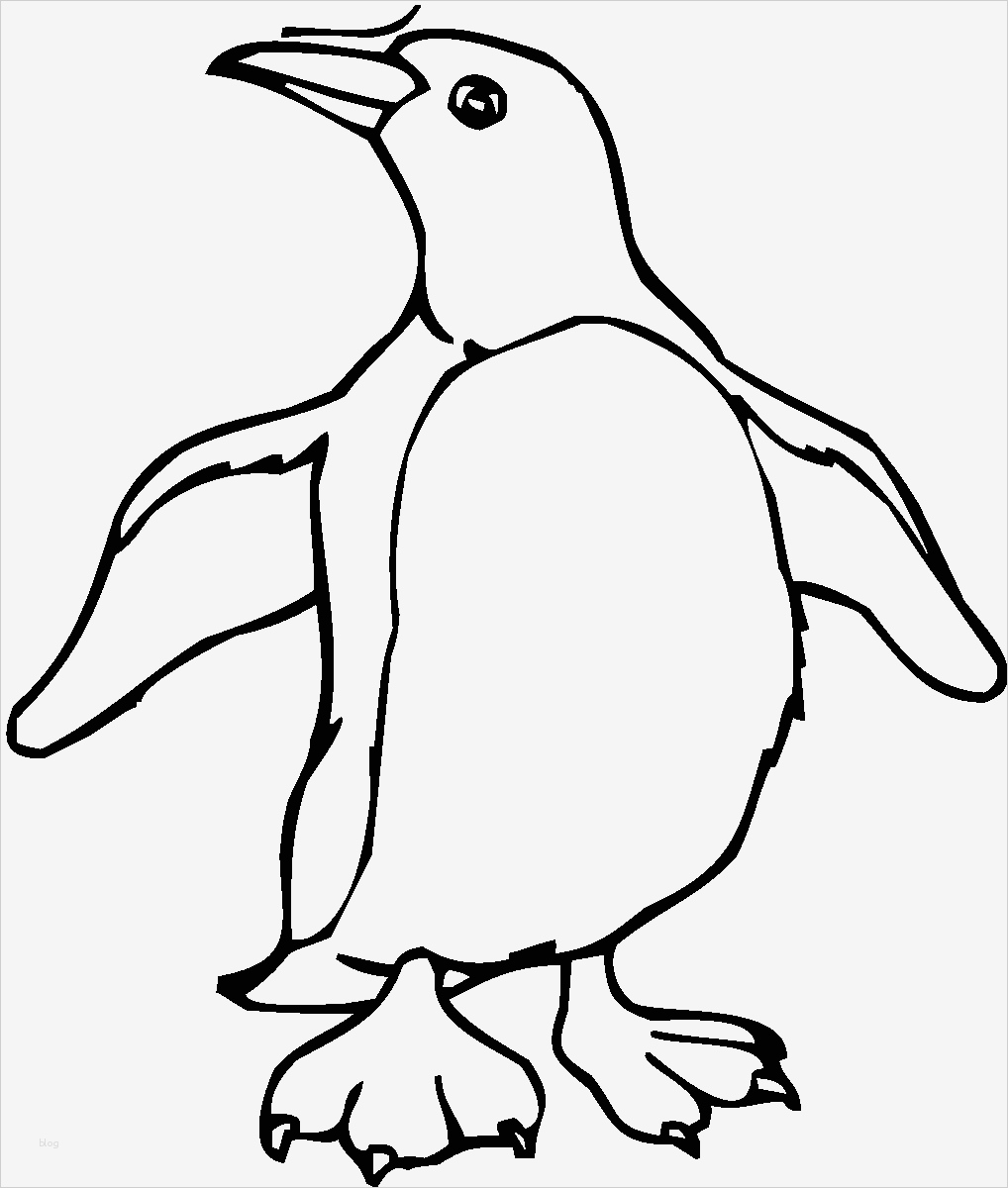 Pinguin Vorlage Zum Ausdrucken Einzigartig Ausmalbilder Malvorlagen