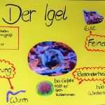 Plakat Gestalten Schule Vorlage Beste Beste Wie Ein Plakat Gestalten Zeitgenössisch