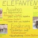 Plakat Gestalten Schule Vorlage Wunderbar Plakat Gestalten – In 6 Minuten Zum Perfekten Ergebnis