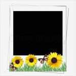 Polaroid Rahmen Vorlage Genial Polaroid Rahmen Mit sonnenblumen Mit Platz Fot Text Oder