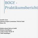 Praktikumsbericht Deckblatt Vorlage Download Beste Vorlage Bewerbung Fr Ein Praktikum Download Kostenlos