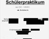 Praktikumsbericht Vorlage Schule 9 Klasse Einzigartig Praktikumsmappe Deckblatt Schule Beruf Praktikum