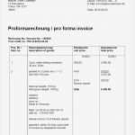 Proforma Invoice Vorlage Erstaunlich Proformarechnung Bedeutung Für Zoll Und Außenhandel