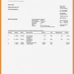 Proforma Invoice Vorlage Fabelhaft 9 Proforma Rechnung formular