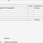 Proforma Rechnung Zoll Vorlage Bewundernswert Proforma Rechnung Zoll Schweiz Vorlage Line Rechnun