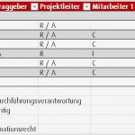 Projekt Matrix Vorlage Wunderbar Projektmanagement24 Blog Raci Matrix Regelt