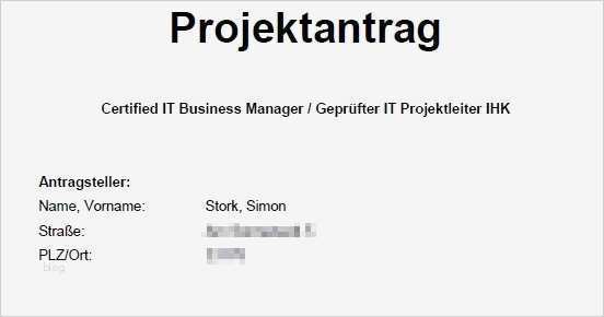 IT Business Manager Projektantrag Operative Professional