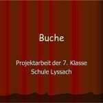 Projektarbeit Vorlage Schule Best Of Projektarbeit Der 7 Klasse Schule Lyssach Ppt Video