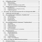 Projektbericht Vorlage Cool Projektcontrolling Im Multiprojektmanagement