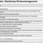 Projektbeschreibung Vorlage Fabelhaft Risikomanagement