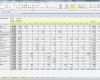 Projektcontrolling Excel Vorlage Kostenlos Erstaunlich Excel