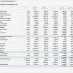 Projektcontrolling Excel Vorlage Kostenlos Schönste Lösungen Coor software Für Das Bau Projektcontrolling