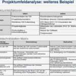 Projektdokumentation Vorlage Best Of Gemütlich Projektmanagement Matrix Vorlage Galerie