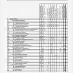 Projekthandbuch Vorlage Erstaunlich Muster Projekthandbuch Einfamilienhaus