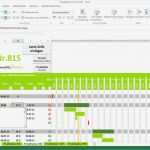 Projektmanagement Excel Vorlage Best Of Projektplan Excel