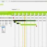 Projektplan Excel Vorlage 2015 Inspiration Beste Vorlage Zeitplan Galerie Entry Level Resume