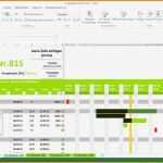 Projektplan Excel Vorlage Xls Neu 9 Projektplan Excel