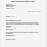 Projektsteckbrief Vorlage Word Bewundernswert 23 Privatrezept Vorlage Word