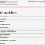 Projektsteckbrief Vorlage Word Inspiration Word