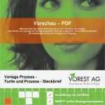 Prozessbeschreibung Vorlage Word Angenehm Vorschau Pdf Vorlage Prozess Turtle Und Prozess