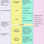 Prüfprotokoll Vde 0701 Vorlage Bewundernswert Bgv A3 Messung ortsveränderliche Geräte – Automobil Bau