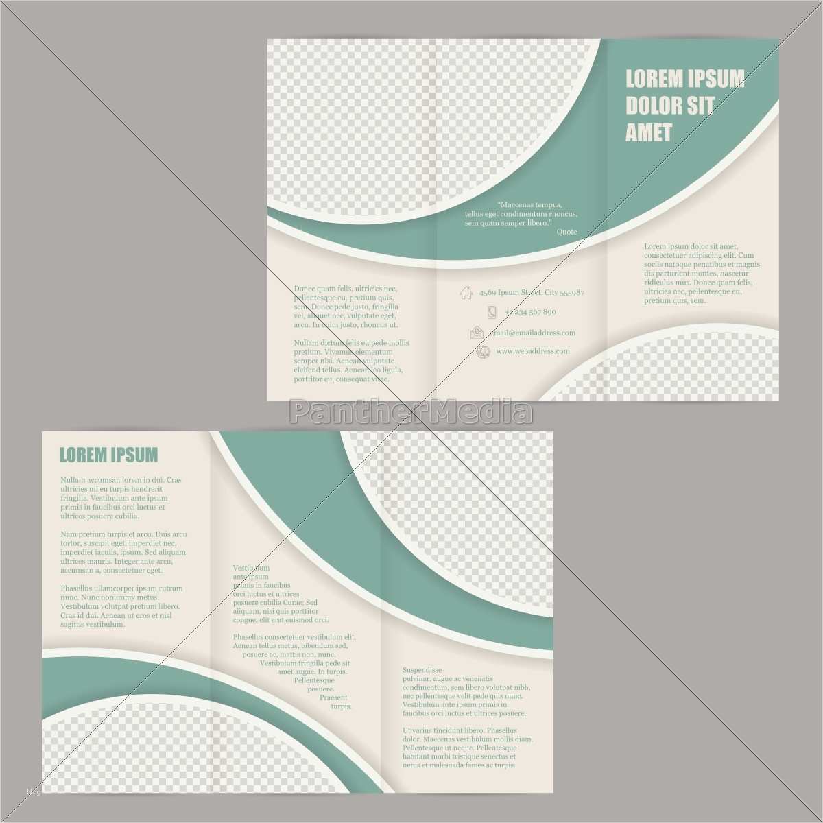 publisher flyer templates free download