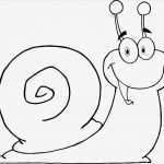 Punktesystem Kindererziehung Vorlage Gut Snail Drawing Clipart Best