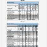 Raci Matrix Vorlage Wunderbar Excel Matrix Template 6 Free Excel Documents Download