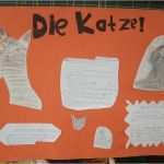 Referat Vorlage Grundschule 2 Klasse Haustiere Cool Grundschule Lunestedt