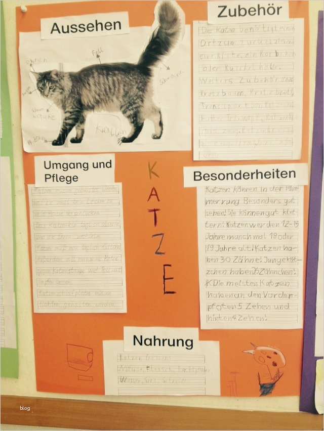 Referat Vorlage Grundschule 2 Klasse Haustiere Einzigartig Das thema