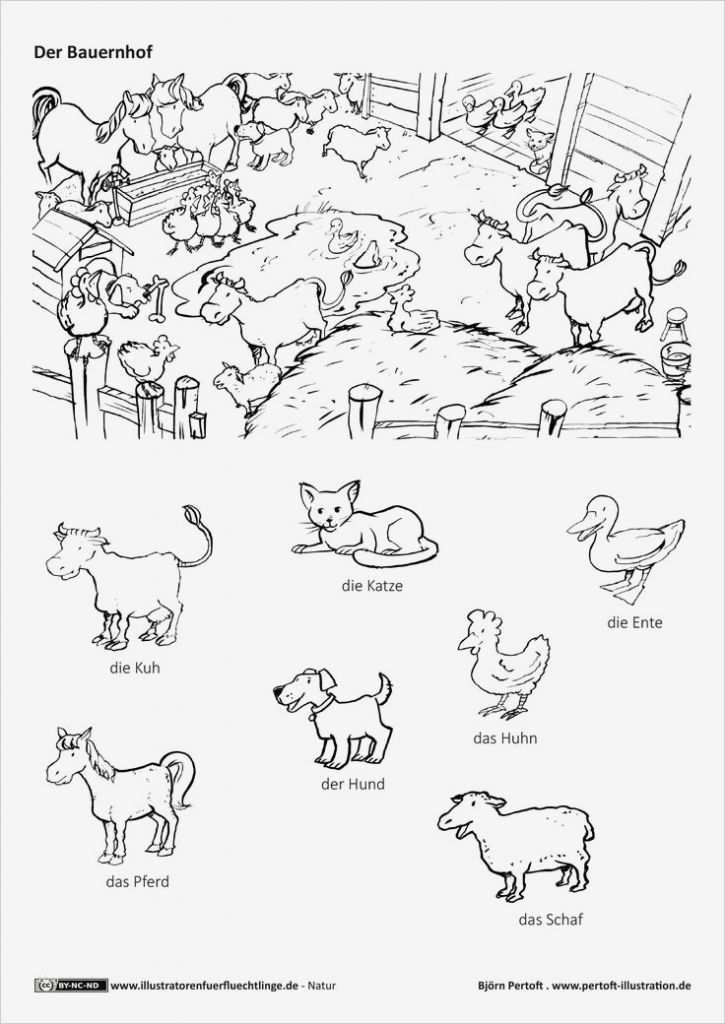 Referat Vorlage Grundschule Klasse Haustiere S Download Als Pdf Natur Bauernhof Haustiere