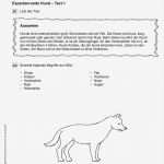 Referat Vorlage Grundschule 2 Klasse Haustiere Wunderbar Sachunterricht · Arbeitsblätter · Grundschule · Lehrerbüro