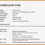 Resume Vorlage Englisch Best Of Cv Schreiben Muster Lebenslauf Englisch Vorlage Fitted