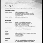 Resume Vorlage Englisch Best Of Lebenslauf Auf Englisch Tipps Für Resume Und Cv