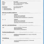 Resume Vorlage Englisch Elegant 20 Resume Englisch Muster