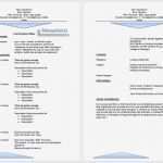 Resume Vorlage Englisch Erstaunlich 20 Resume Englisch Muster