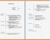 Resume Vorlage Englisch Neu 20 Resume Englisch Muster