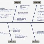 Risikoanalyse Lebensmittel Vorlage Best Of 08 16 Fachinformation ishikawa Diagramm Fmea Ursache