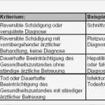 Risikoanalyse Lebensmittel Vorlage Elegant Risikoidentifikation