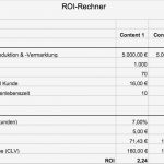 Roi Berechnung Excel Vorlage Schönste Gemütlich Einfache Roi Vorlage Fotos Entry Level Resume