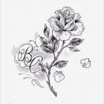 Rosen Tattoo Vorlage Großartig Alphabets and Grey Rose Tattoo Design Tattoo Ideas