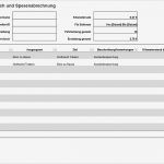 Scheck Vorlage Word Erstaunlich Scheckregister Fice Templates