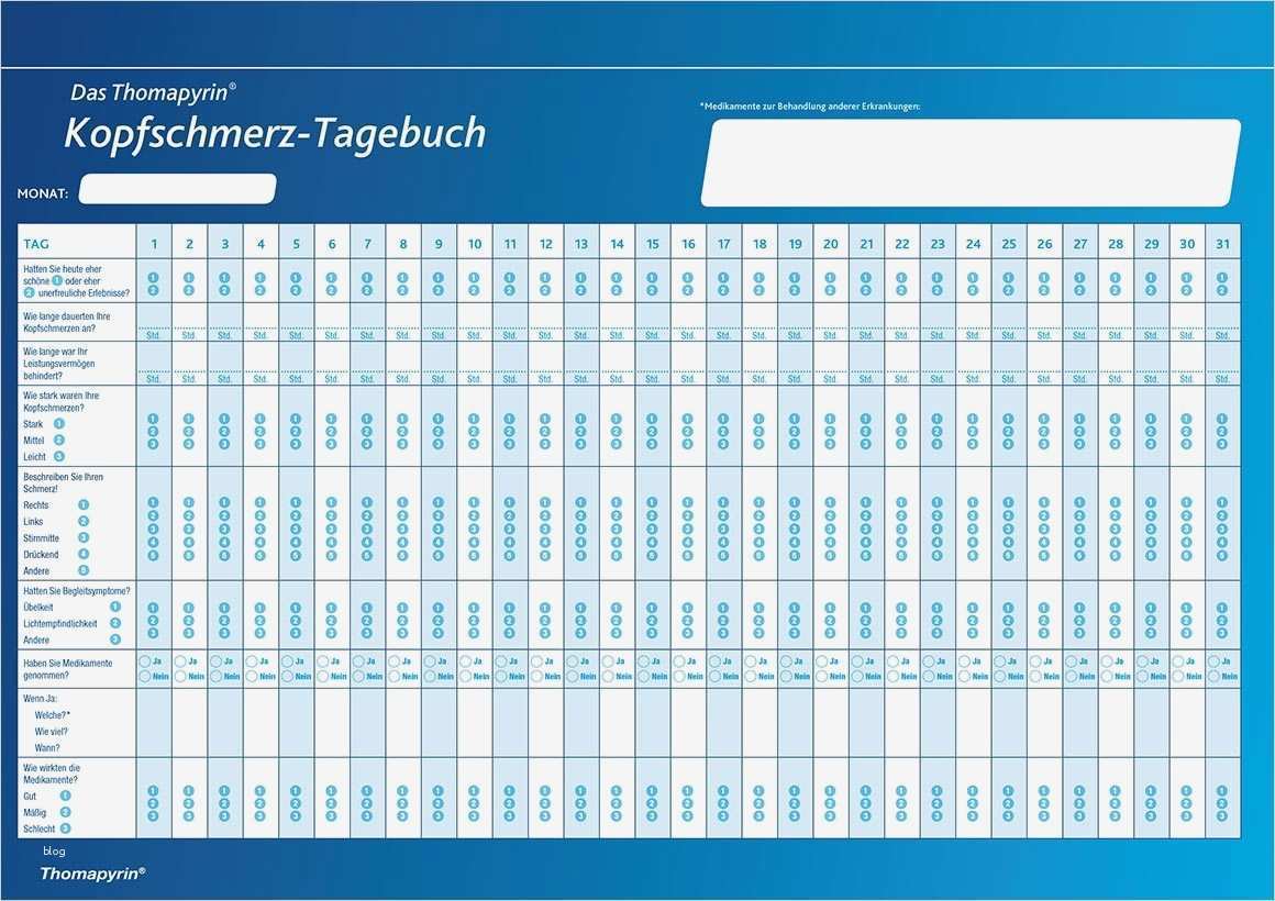 Nett Essen Tagebuch Vorlage Excel Bilder Entry Level