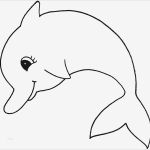 Schrumpffolie Vorlagen Elegant Ausmalbilder Delfine Kostenlos Ausdrucken Finden Sie