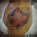 Schulter Tattoos Vorlagen Elegant Tattoo Schulter Tattoo orchidee