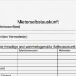 Selbstauskunft Mieter Vorlage Word Angenehm Fein Eidesstattliche Erklärung formular Ideen Bilder