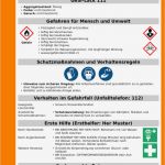 Sicherheitsdatenblatt Vorlage Angenehm atemberaubend Betriebsanweisungen Vorlage Galerie Entry