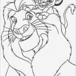 Simba Tattoo Vorlage Luxus Desenhos Para Colorir Desenhos Colorir Rei Leão