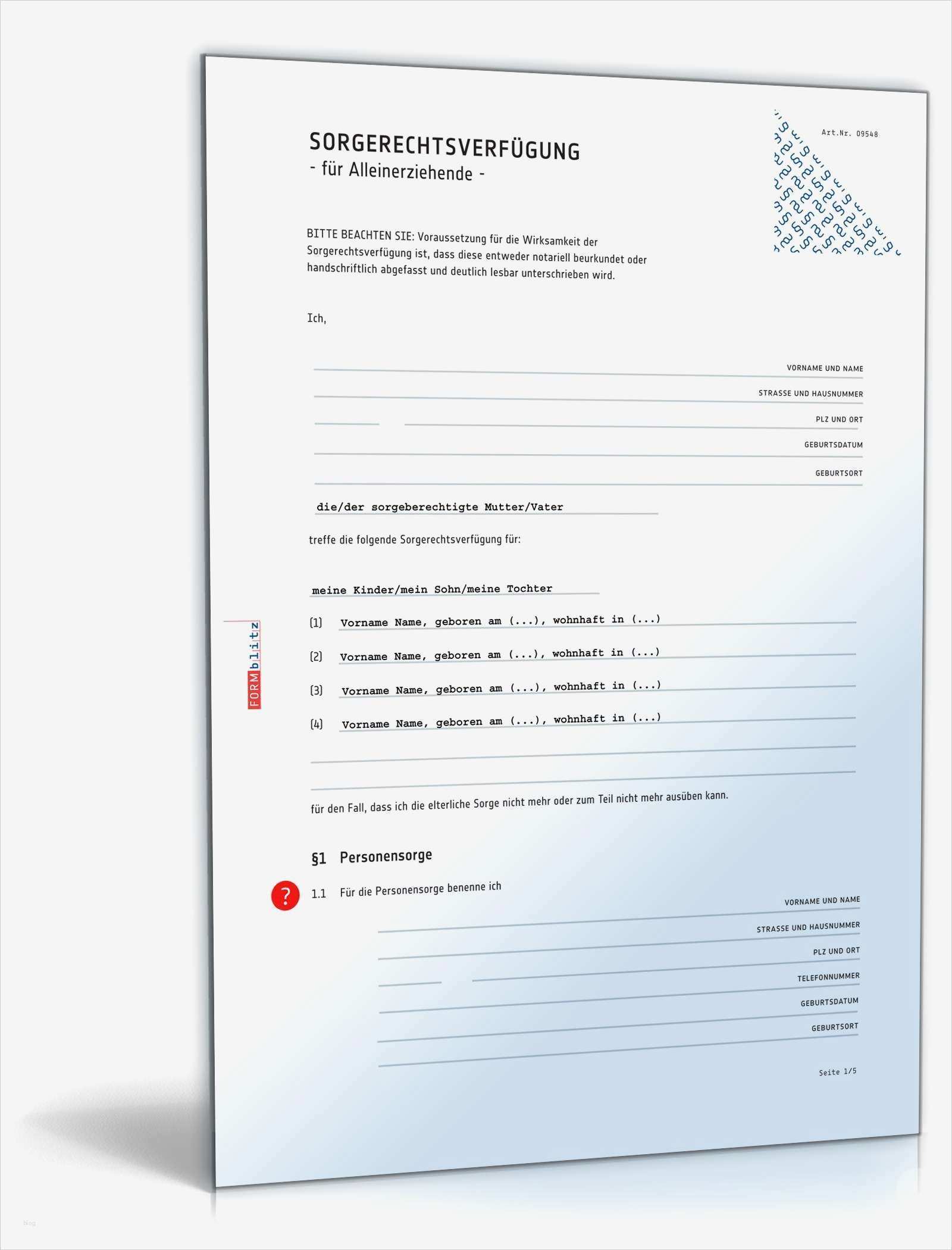 Sorgerechtsverfügung Alleinerziehende